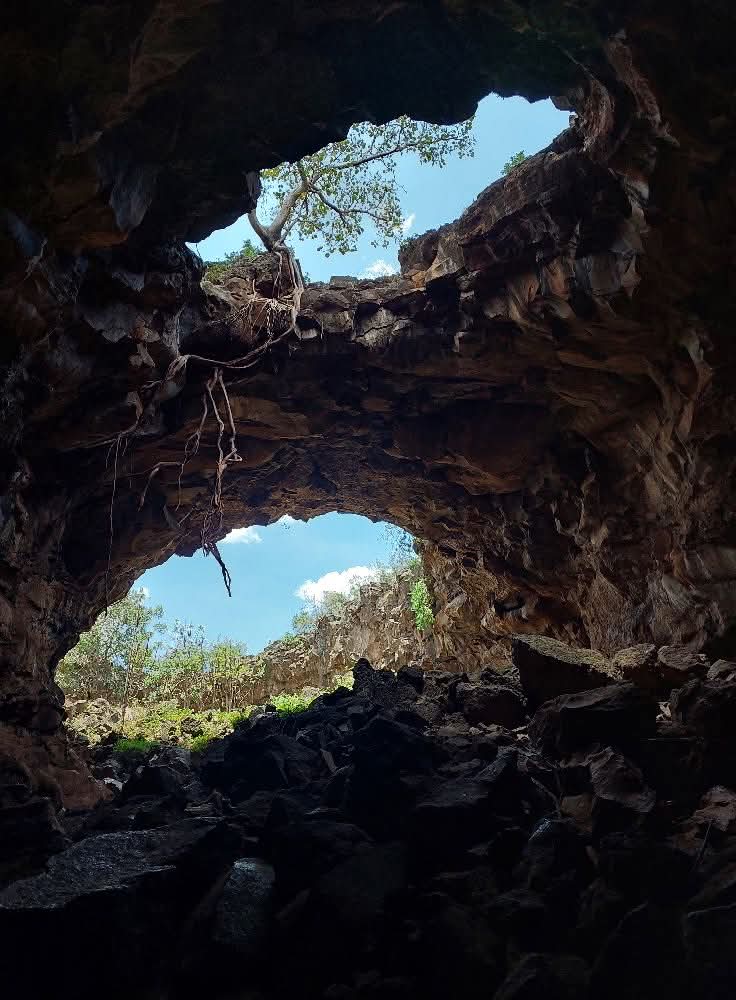 Maasai Mara Wildlife