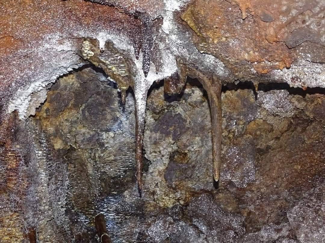 Maasai Mara Wildlife