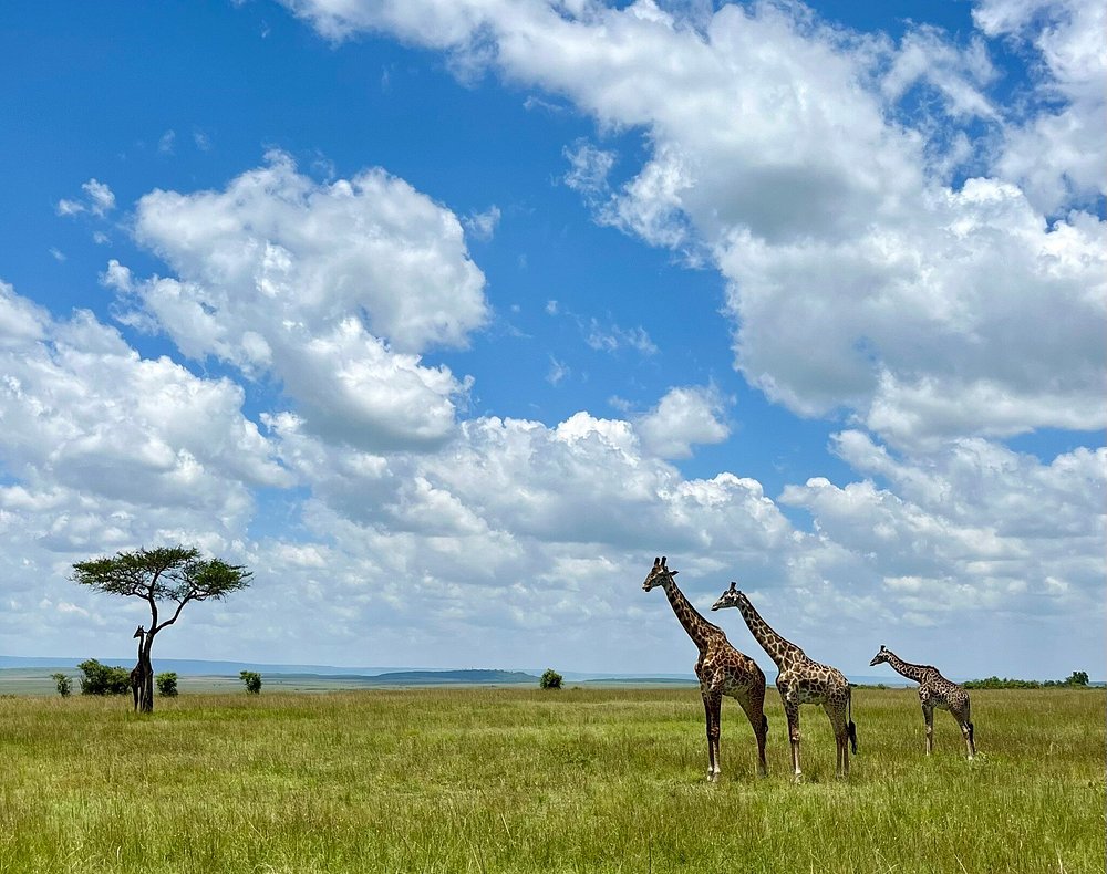 Mountain Hiking Expedition