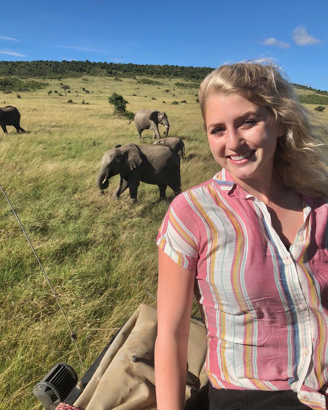 Safari Adventure - Image 4